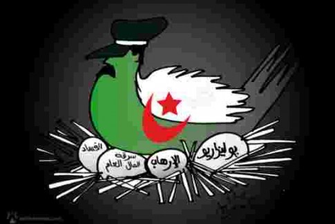 ببغاوات إعلام الجزائر تتمنى تلفيق تهمة الإرهاب للمغربية المختلة عقليا التي كانت في الطائرة