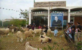 مقر حزب التحرير الحيواني بالجزائر بزعامة الراعي الميت