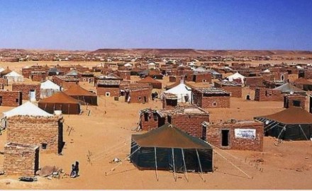 الجمعية المغربية للتضامن الصحراوي في أوروبا تدعو  “موغيريني” إلى حث الجزائر على الانخراط لتسوية النزاع