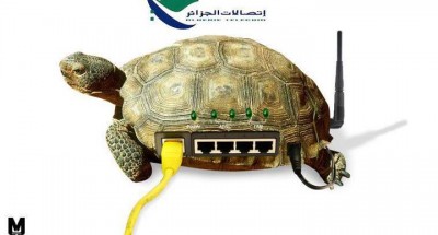الجزائرالفرنسية:إنترنت بطيء مشلول.سلطان ميت مشلول.إقتصاد مشلول ووزير أمي مهبول