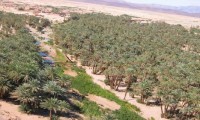 الصحراء المغربية في الوثائق المحلية لواحة فم الحصن