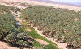 الصحراء المغربية في الوثائق المحلية لواحة فم الحصن