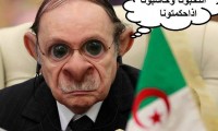 الأحزاب السياسية في “حديقة الجزائر” أبواق مدفوعة الثمن وواجهة تمثلية لنظام عسكري دكتاتوريي